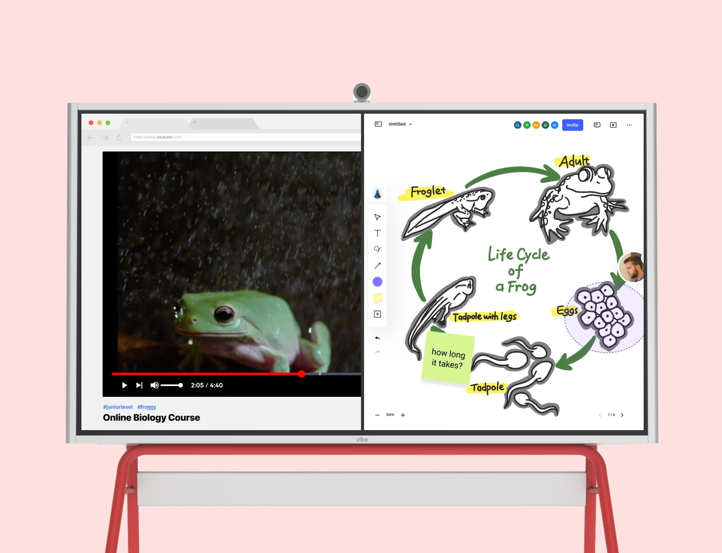 video